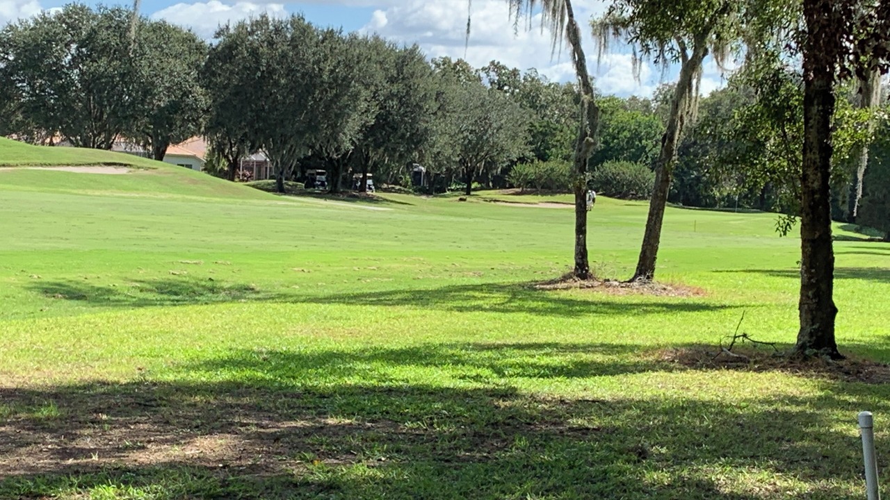 Photo of Others in Braden River