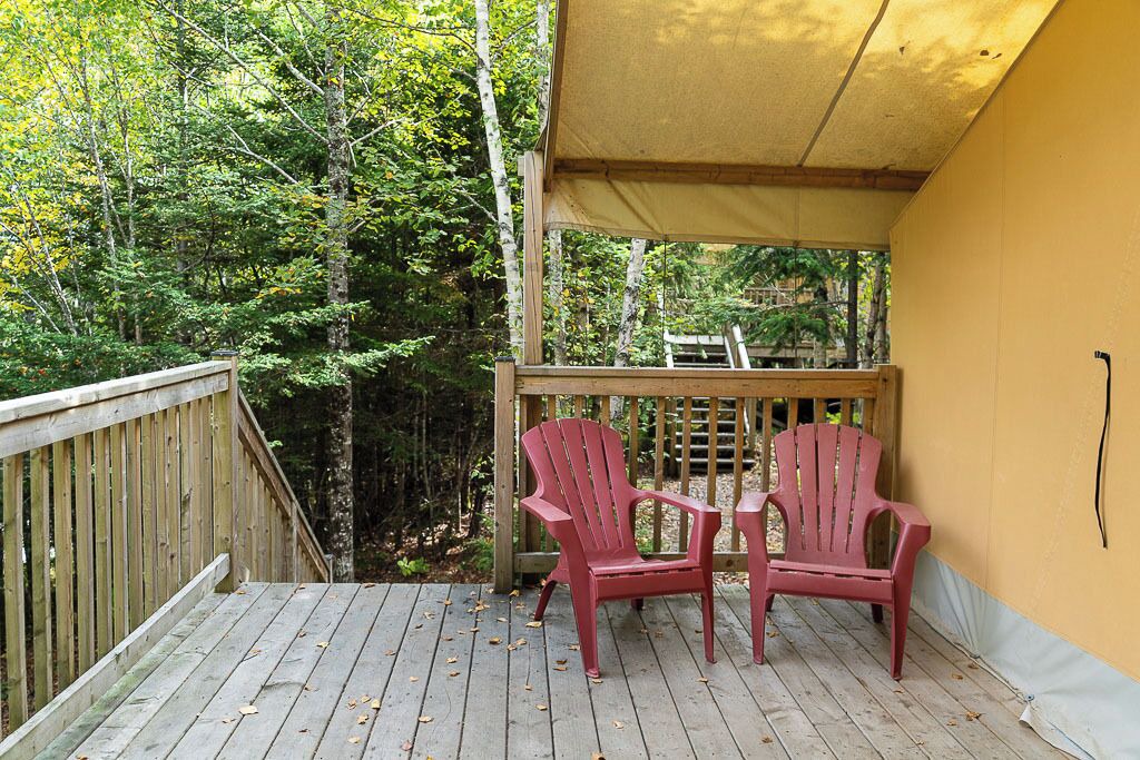Photo of Others in Saint Patrick