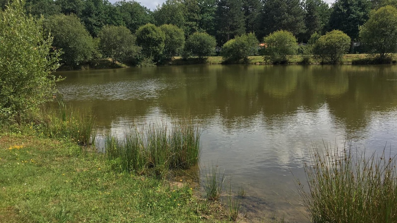 Photo of Others in La Boissiere-de-Montaigu