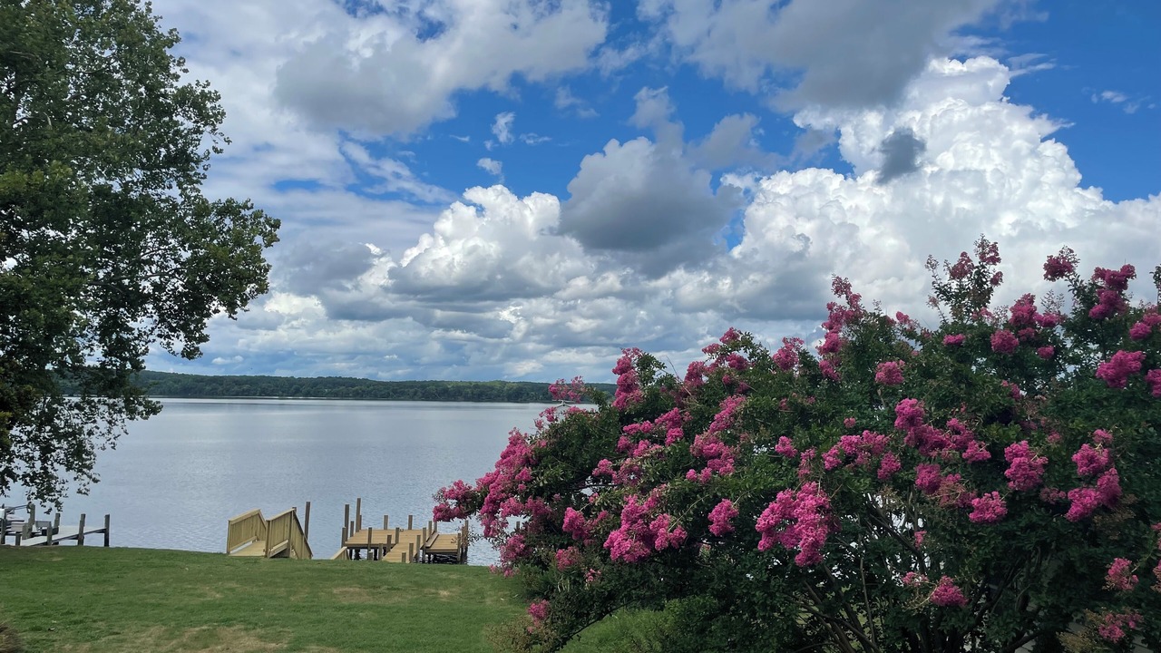 Photo of Outdoor in Port Royal