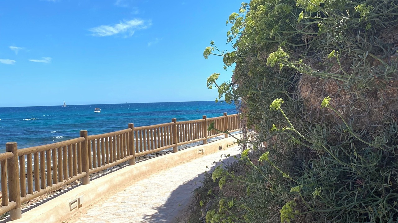 Photo of Others in Orihuela Costa