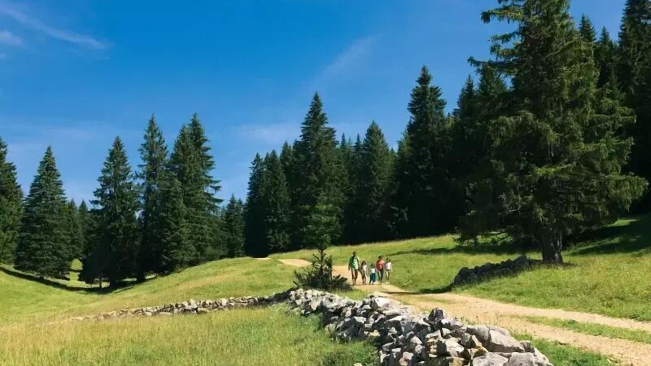 Photo of Others in Bois-d'Amont