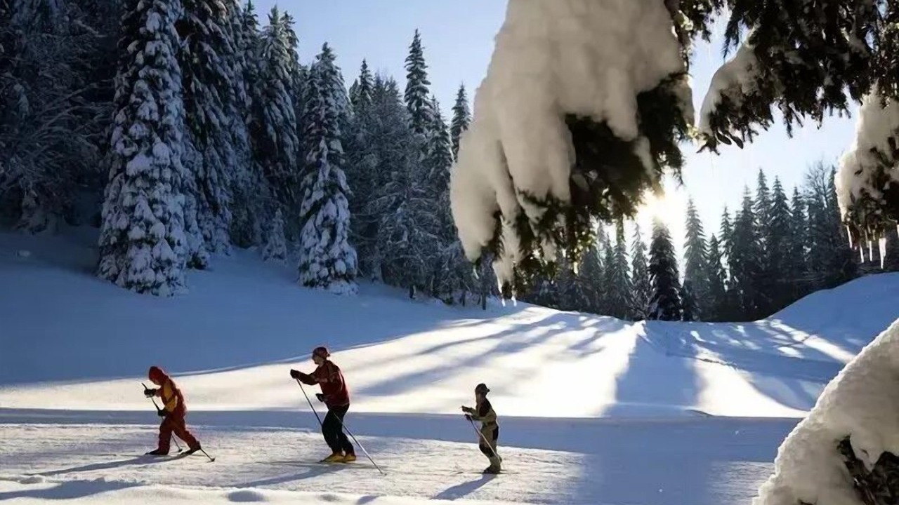 Photo of Others in Bois-d'Amont