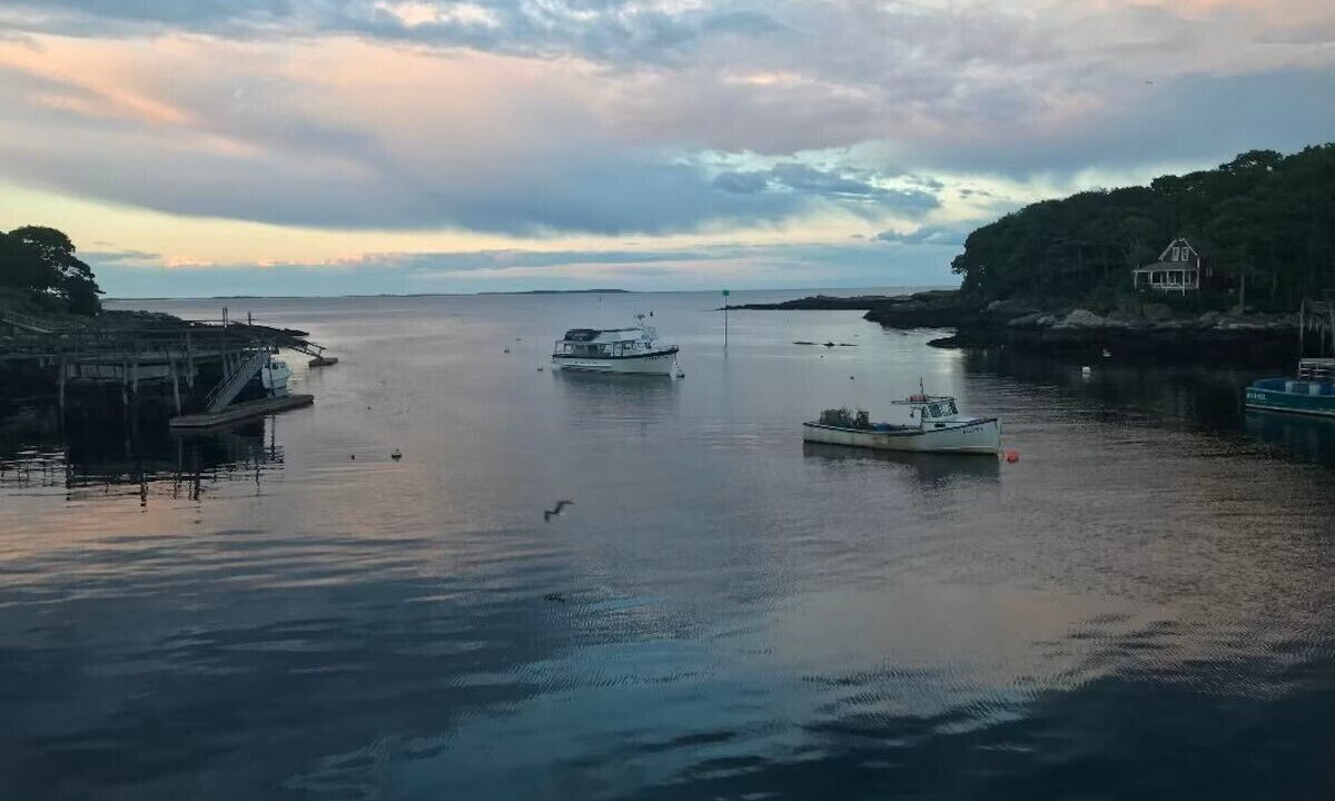 Photo of Others in New Harbor