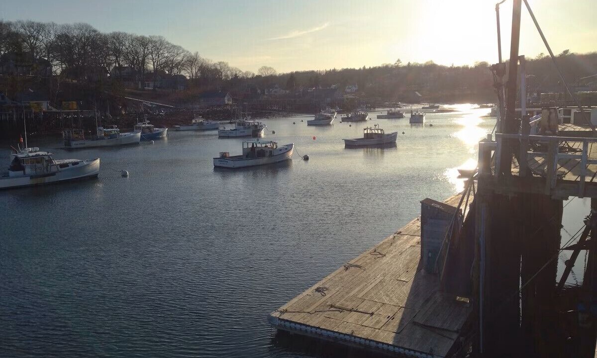 Photo of Others in New Harbor