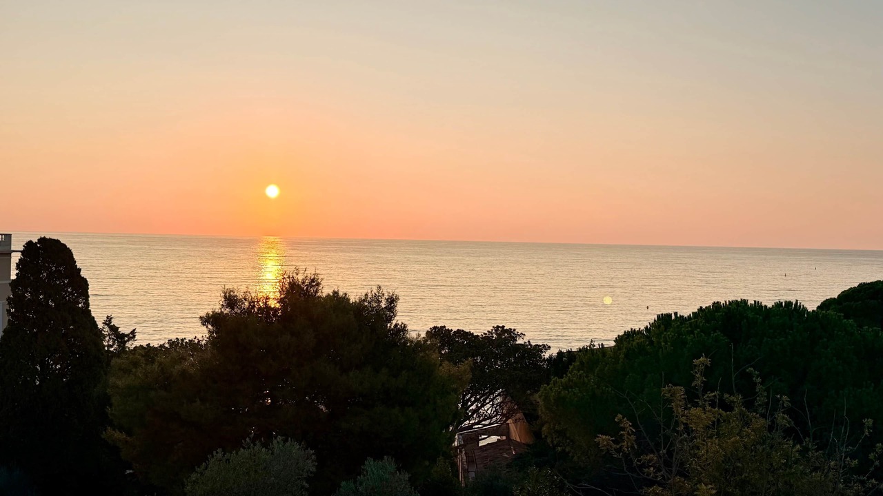 Photo of Others in Beaulieu-sur-Mer