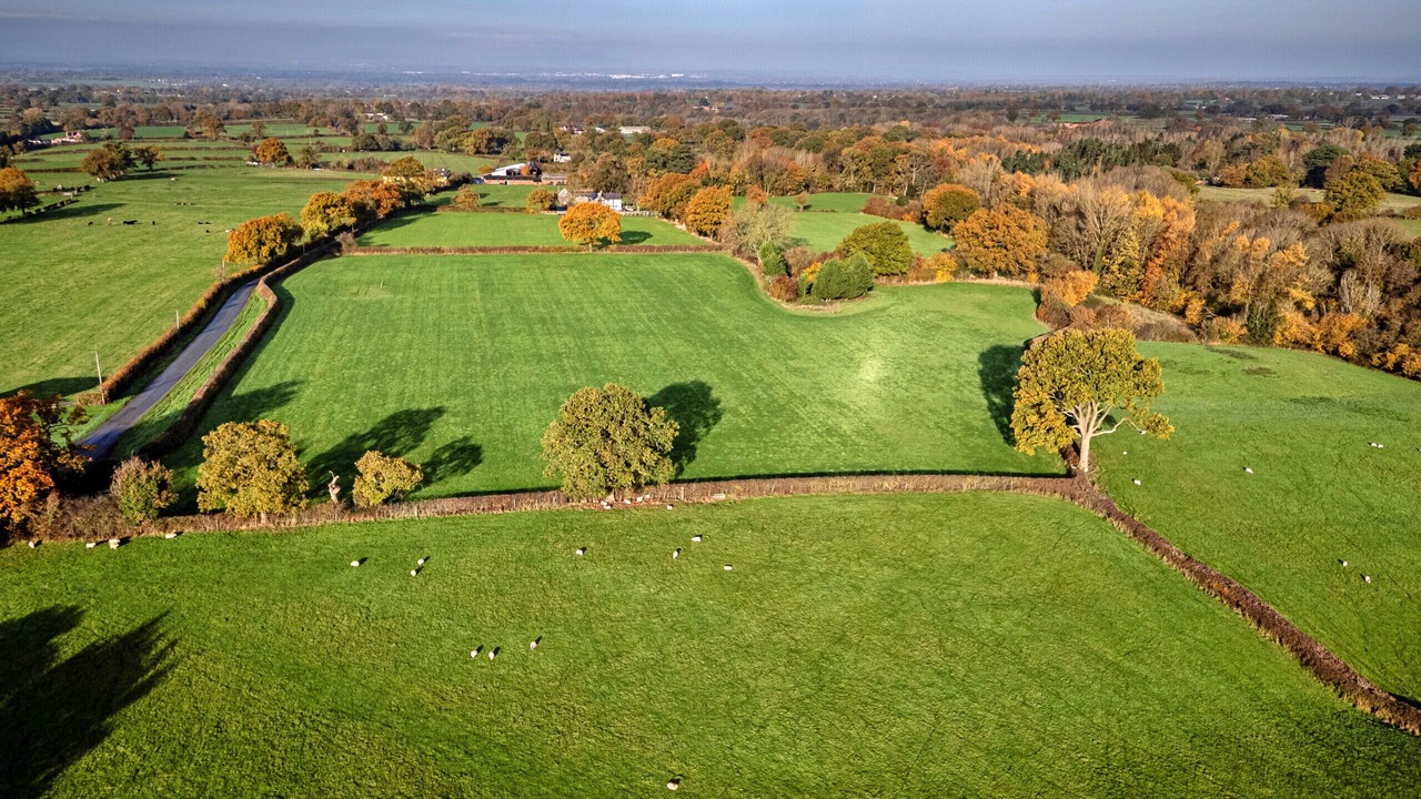 Photo of Others in Whitchurch