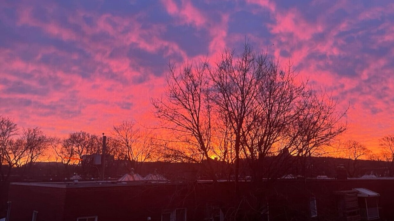 Photo of Others in Cote-Des-Neiges—Notre-Dame-De-Grace