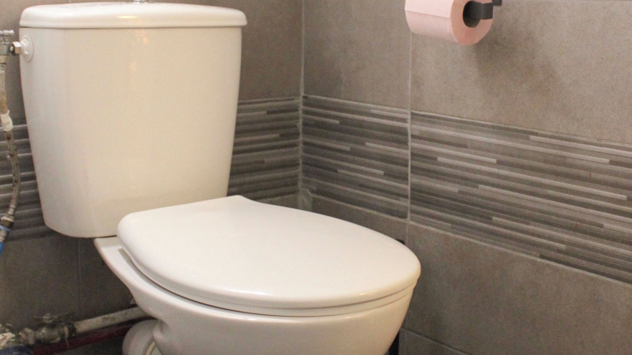 Photo of Bathroom in Pantin