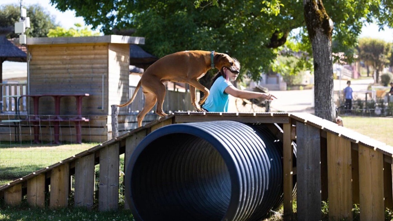 Photo of Others in Thegra