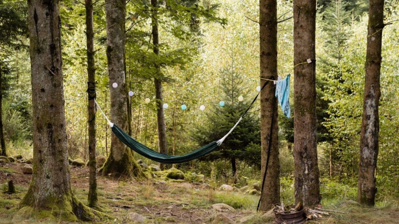 Photo of Others in Granges-Aumontzey