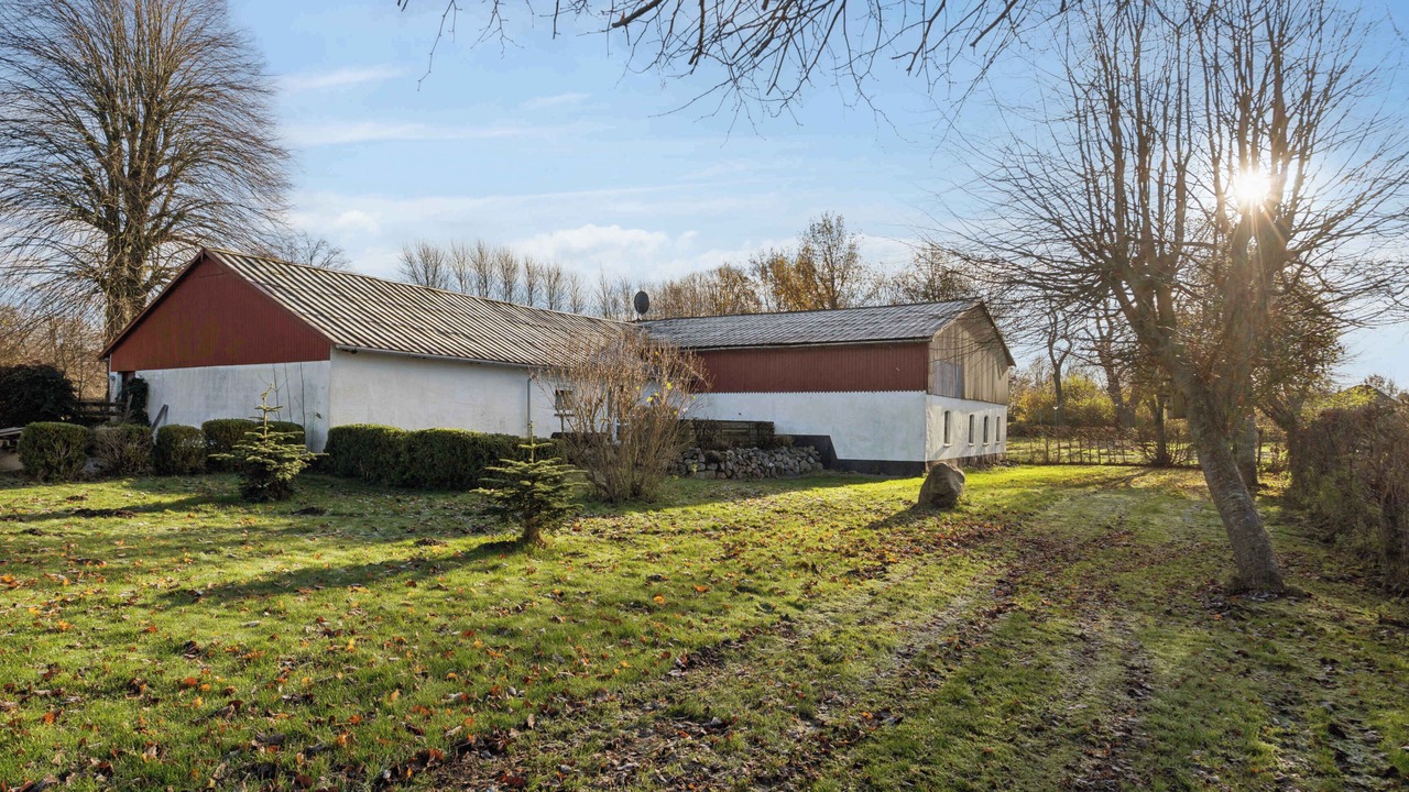 Photo of Others in Krusaa