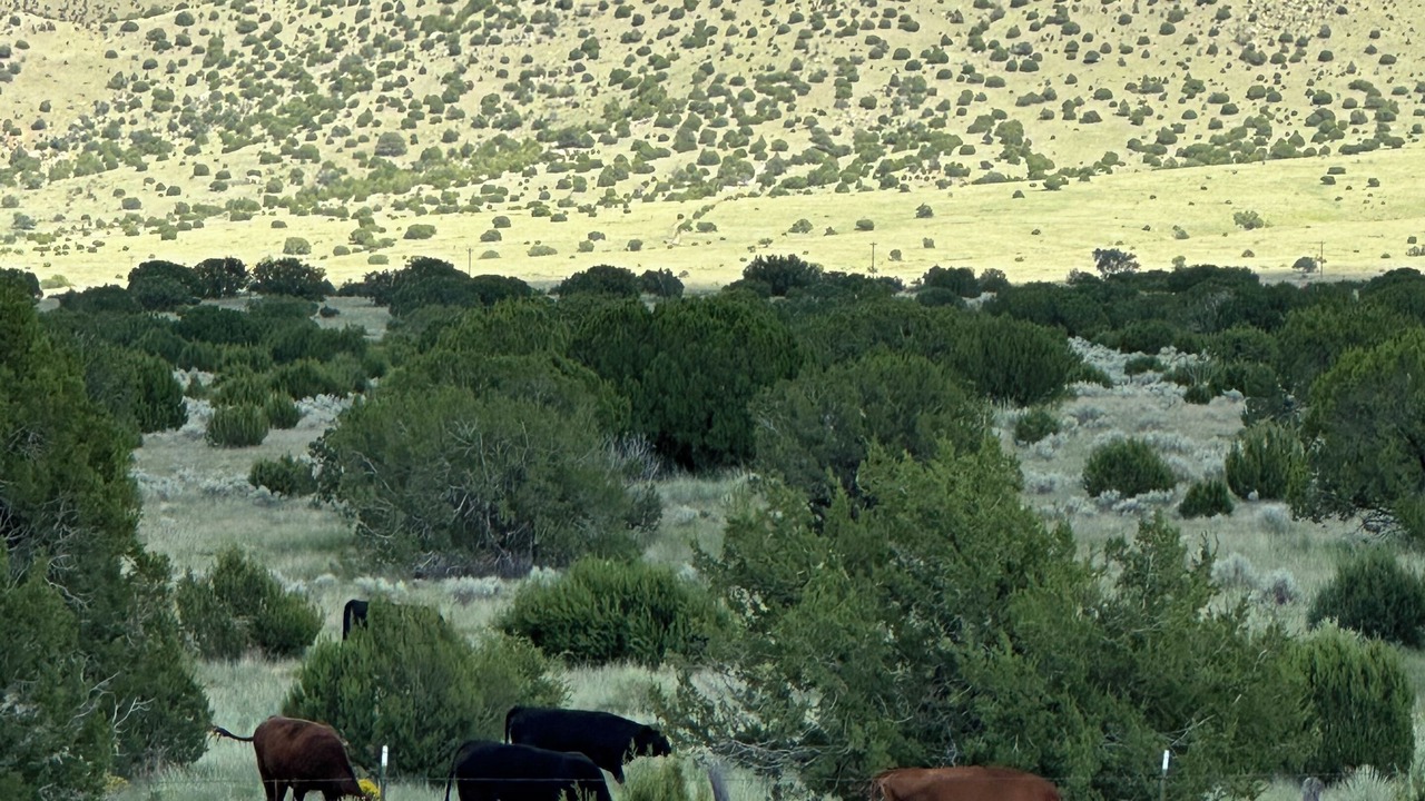 Photo of Others in Magdalena