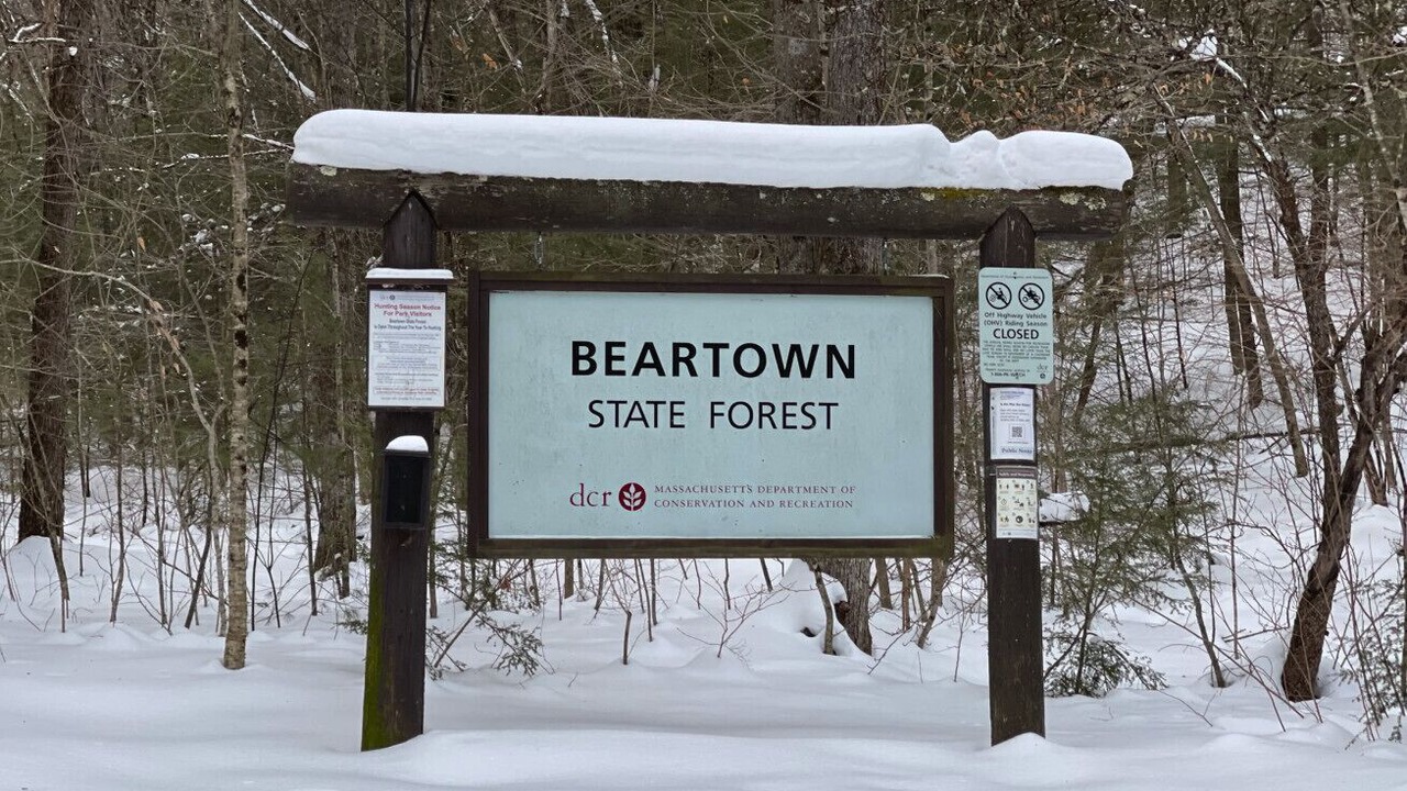 Photo of Others in Monterey