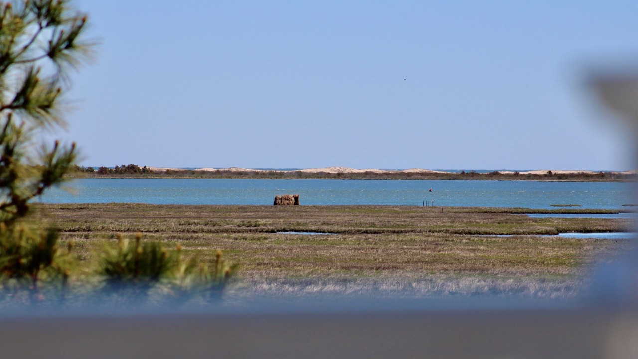 Photo of Others in Bayside