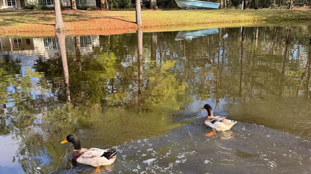 Photo of Others in Huntington