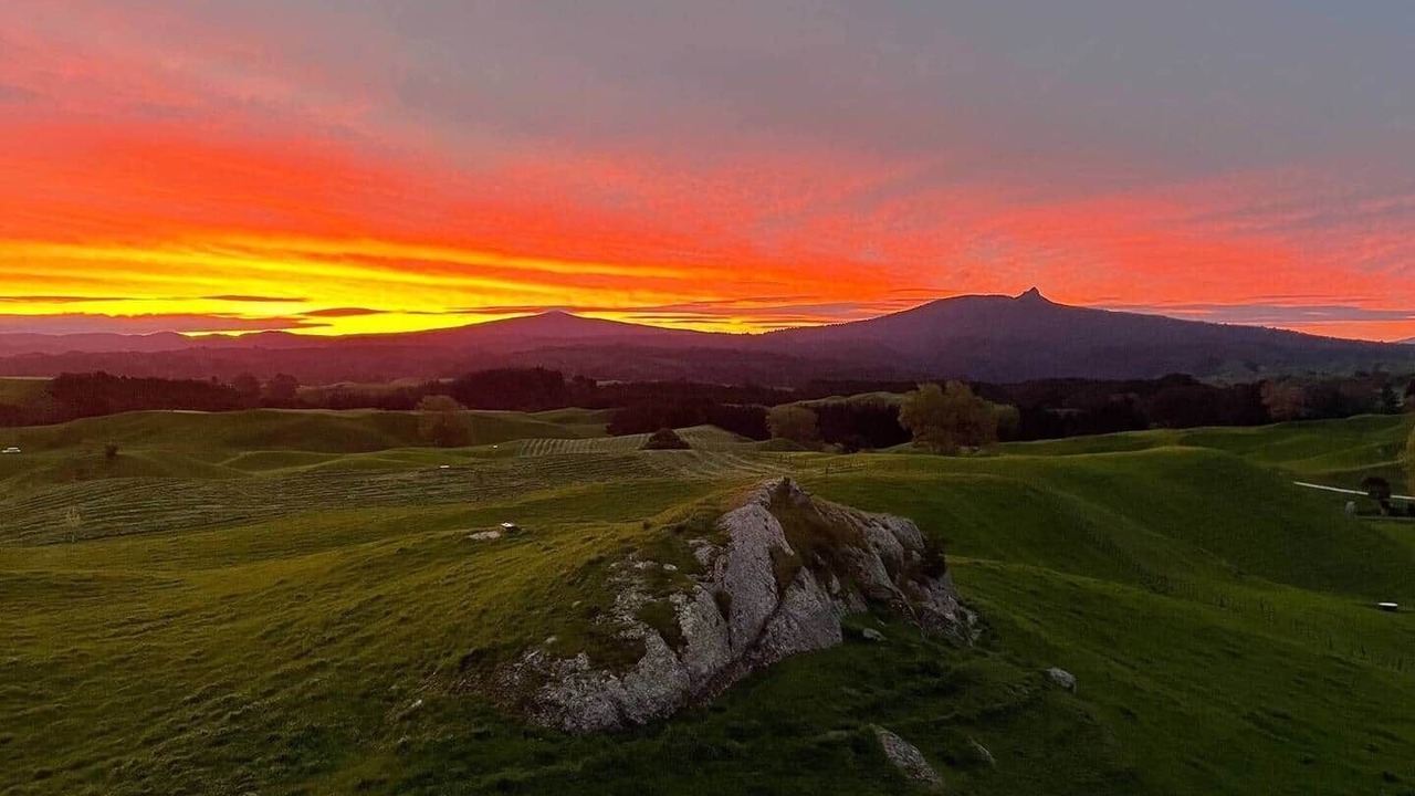 Photo of Others in North Island
