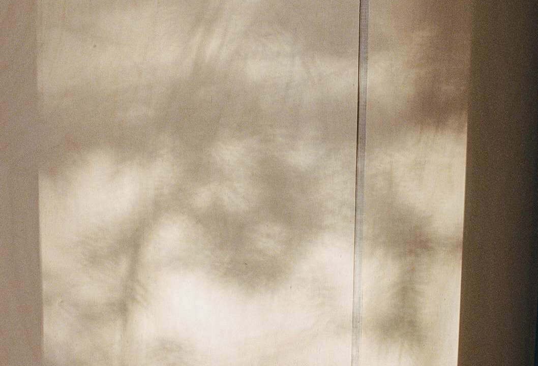 Photo of Others in Washougal