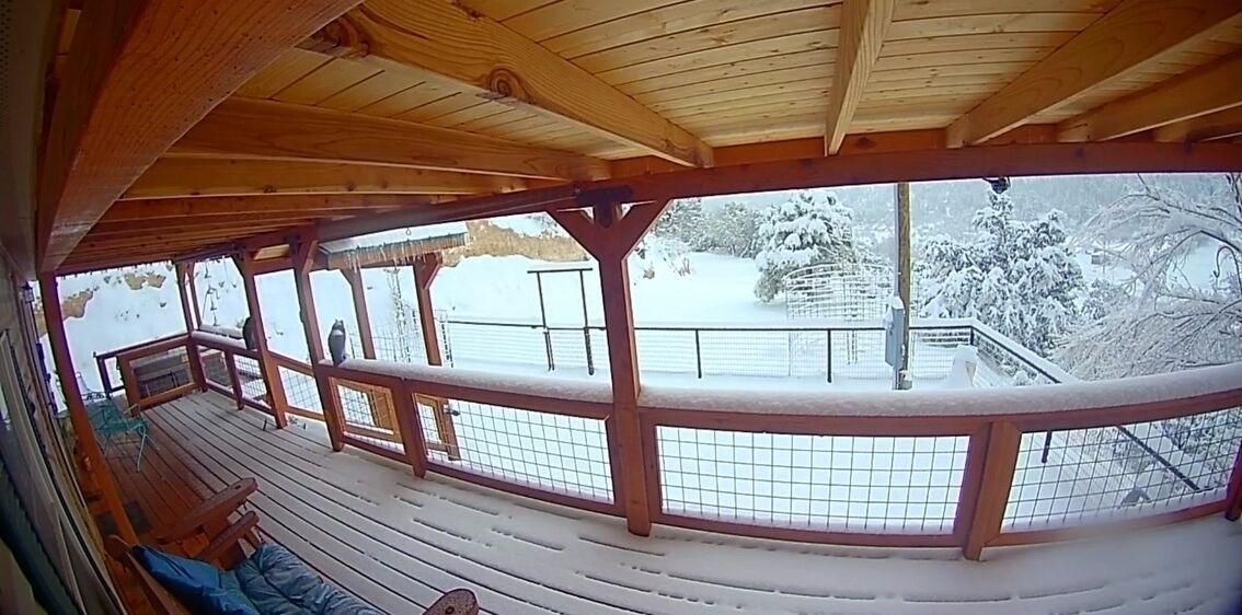 Photo of Outdoor in Ruidoso