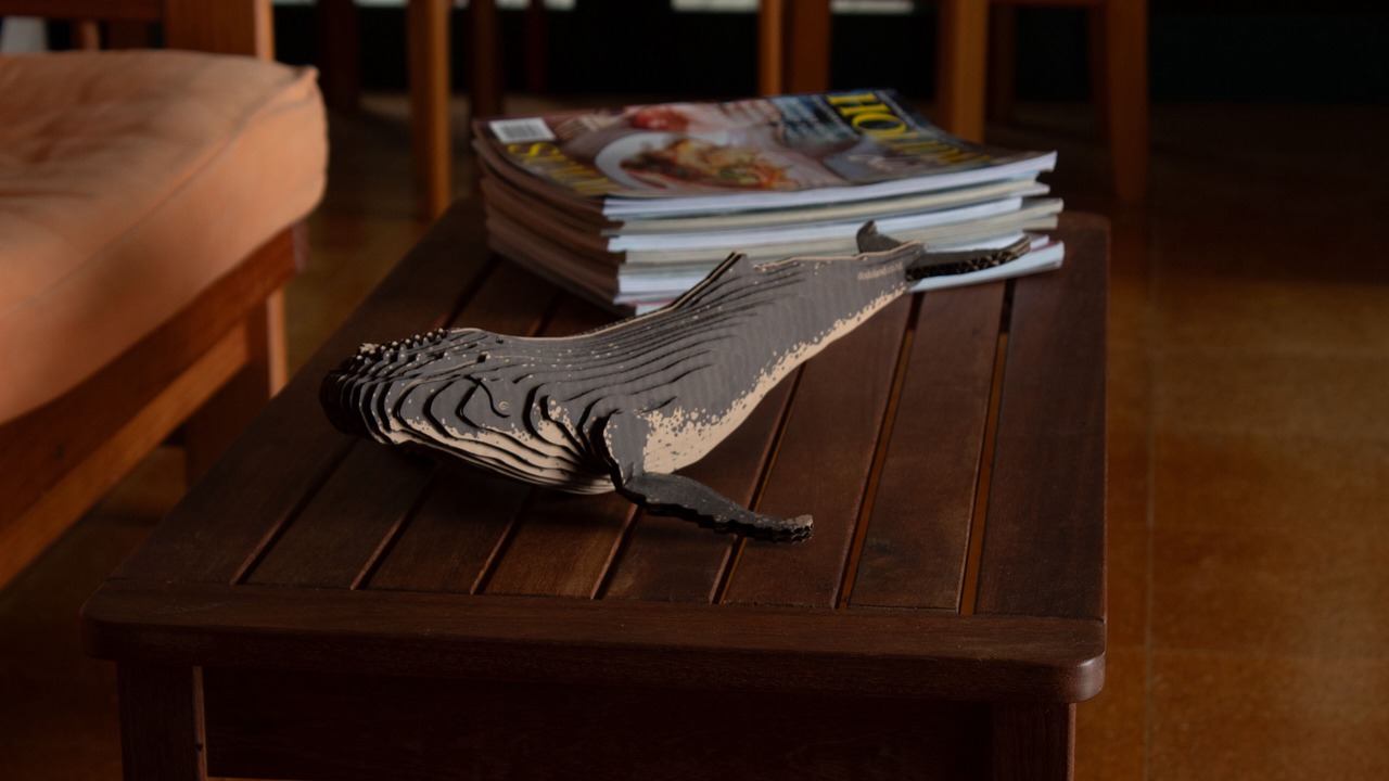 Photo of Others in Whananaki North