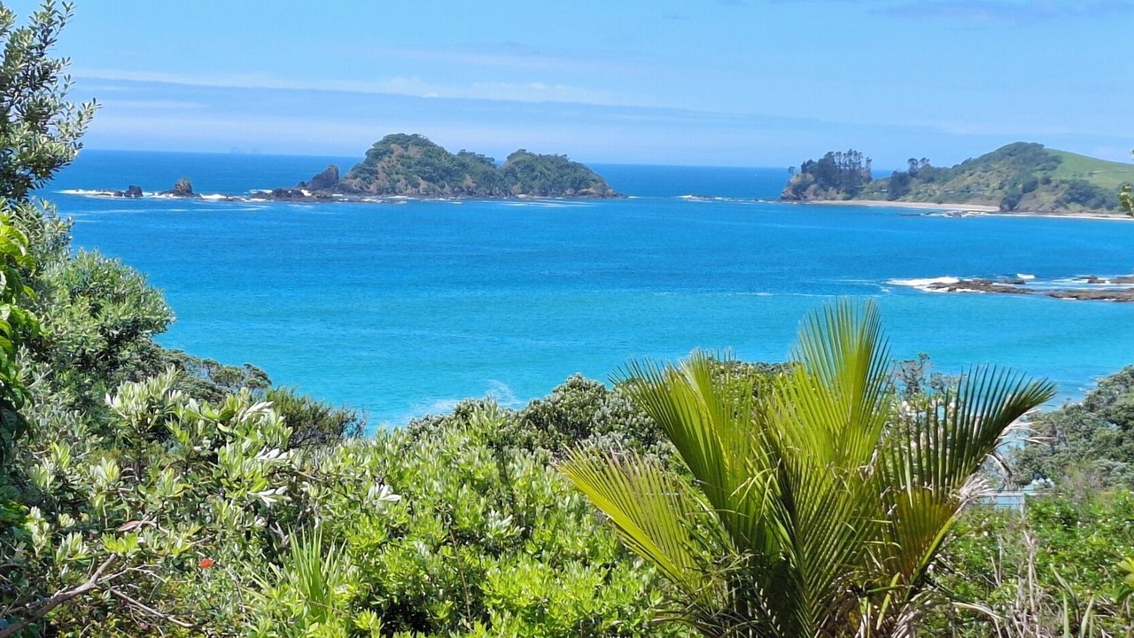 Photo of Others in Whananaki North