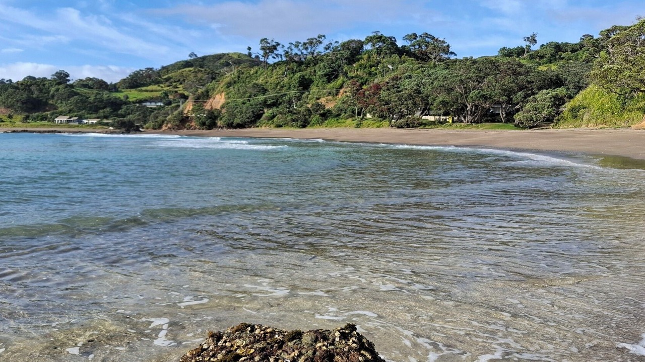 Photo of Others in Whananaki North