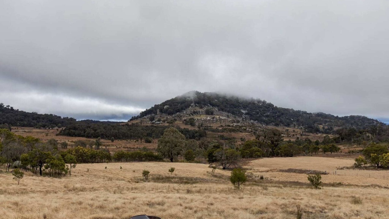 Photo of Others in Tenterfield