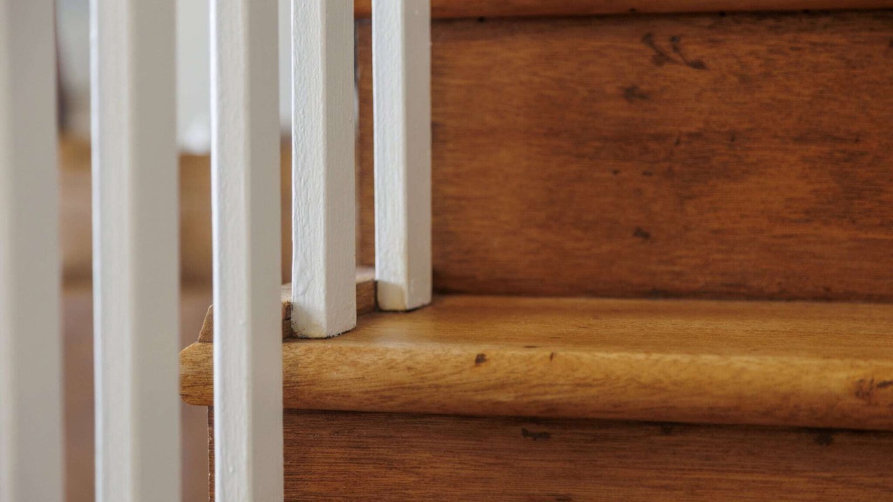 Photo of Others in Henley Beach