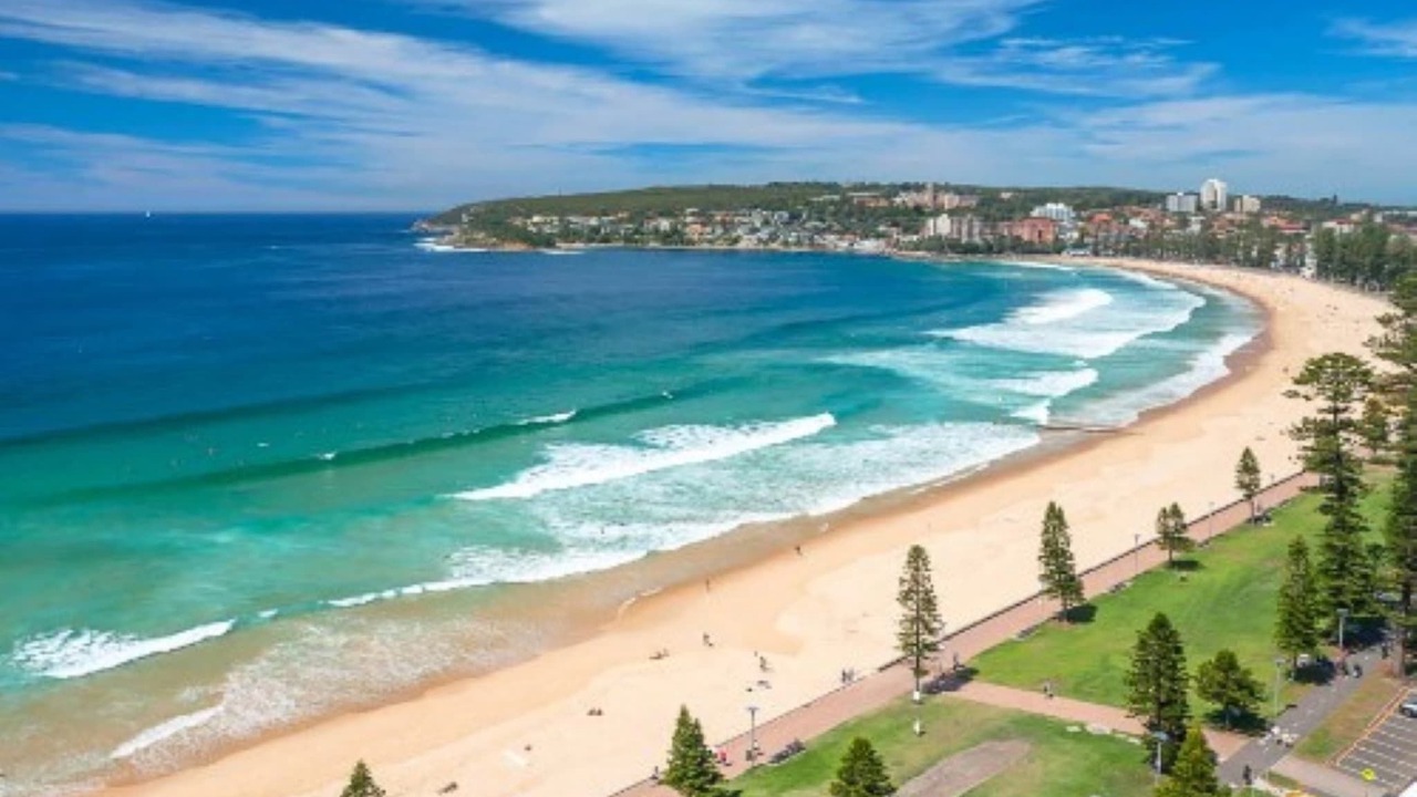 Photo of Others in Manly