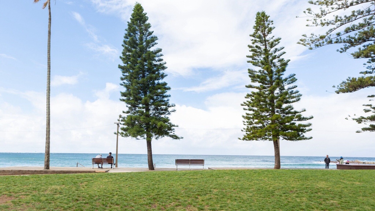 Photo of Others in Dee Why