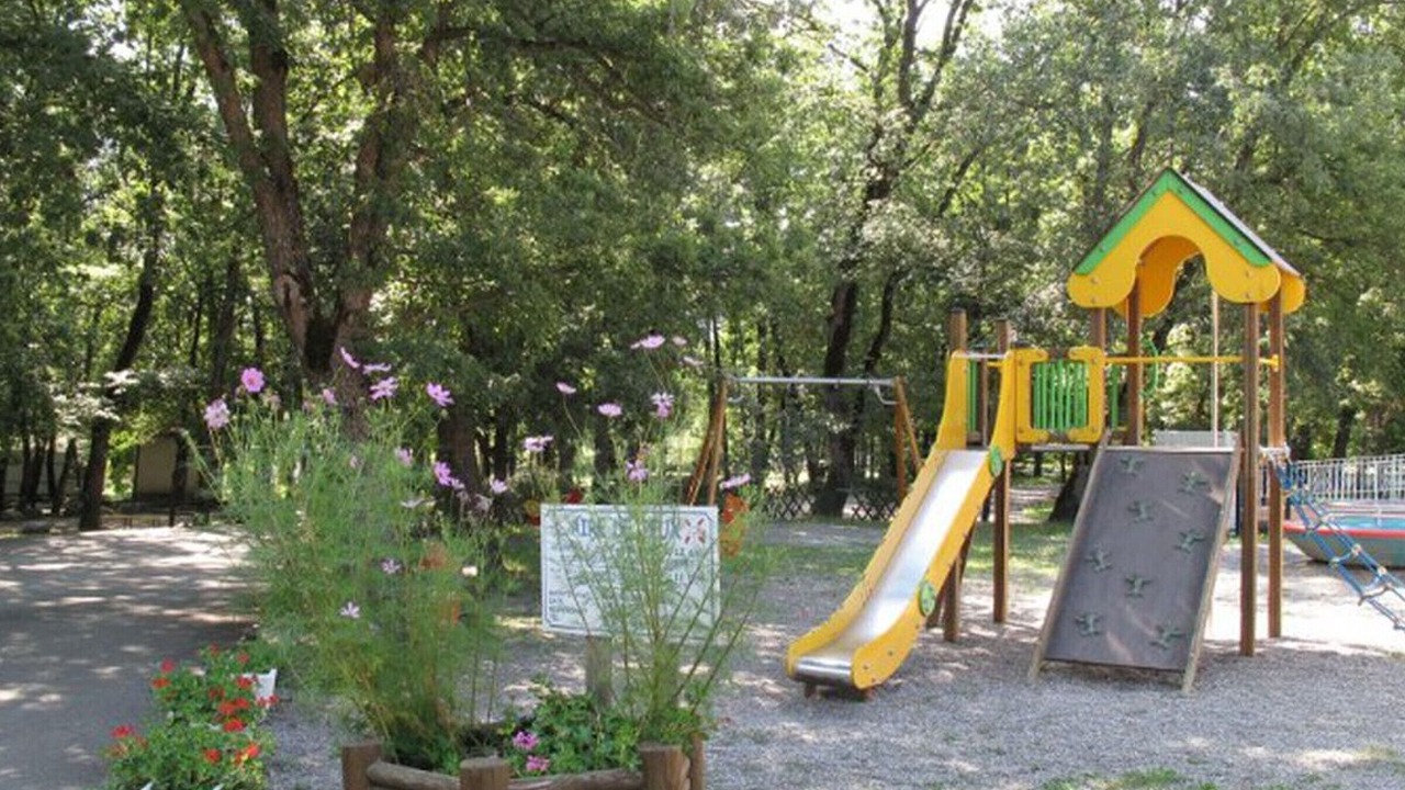 Photo of Others in Neffes