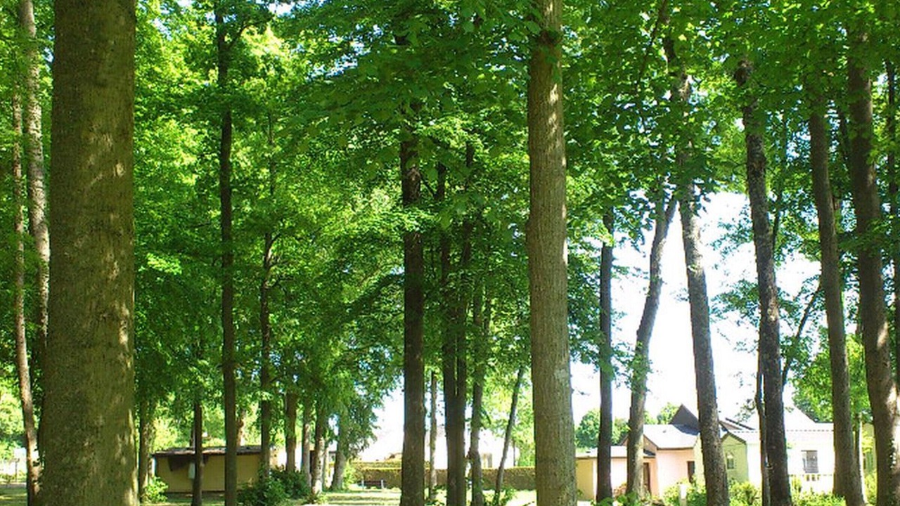 Photo of Outdoor in Illiers-Combray