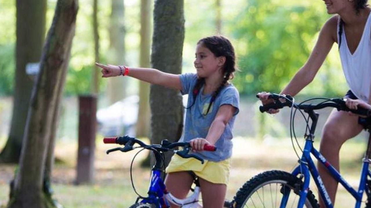 Photo of Others in Illiers-Combray