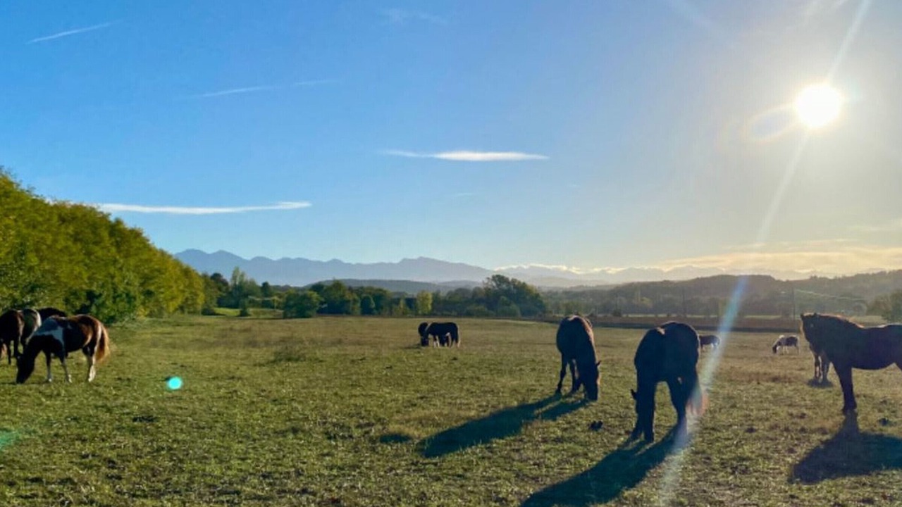 Photo of Others in Camon