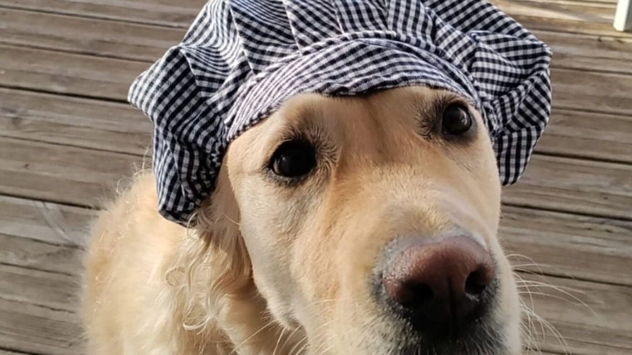 Photo of Others in Luynes