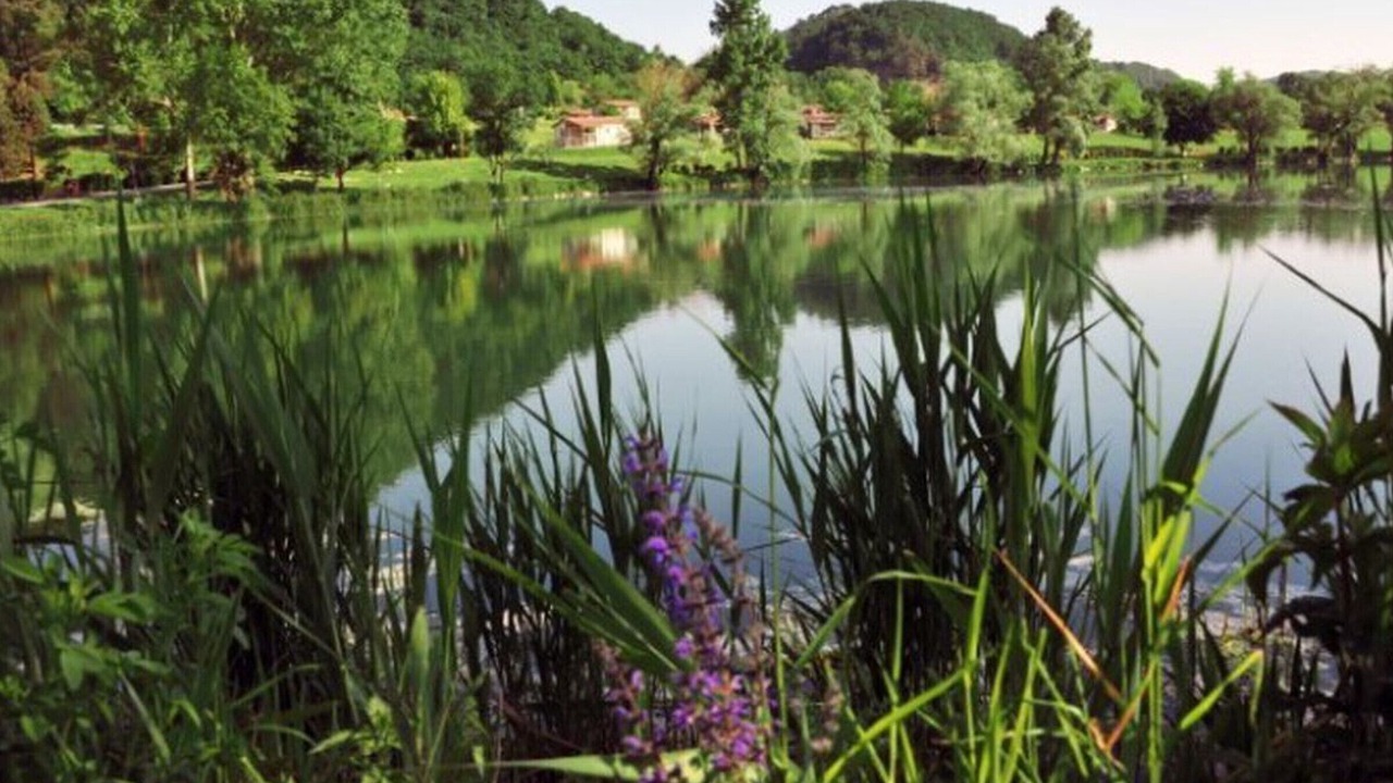 Photo of Others in Saint-Donat-sur-l'Herbasse