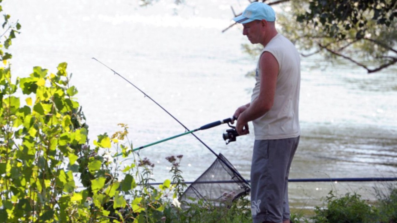 Photo of Others in Saint-Donat-sur-l'Herbasse