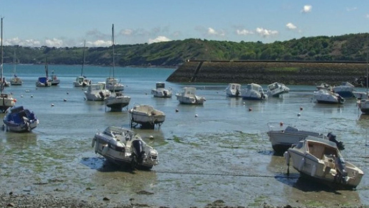 Photo of Others in Binic