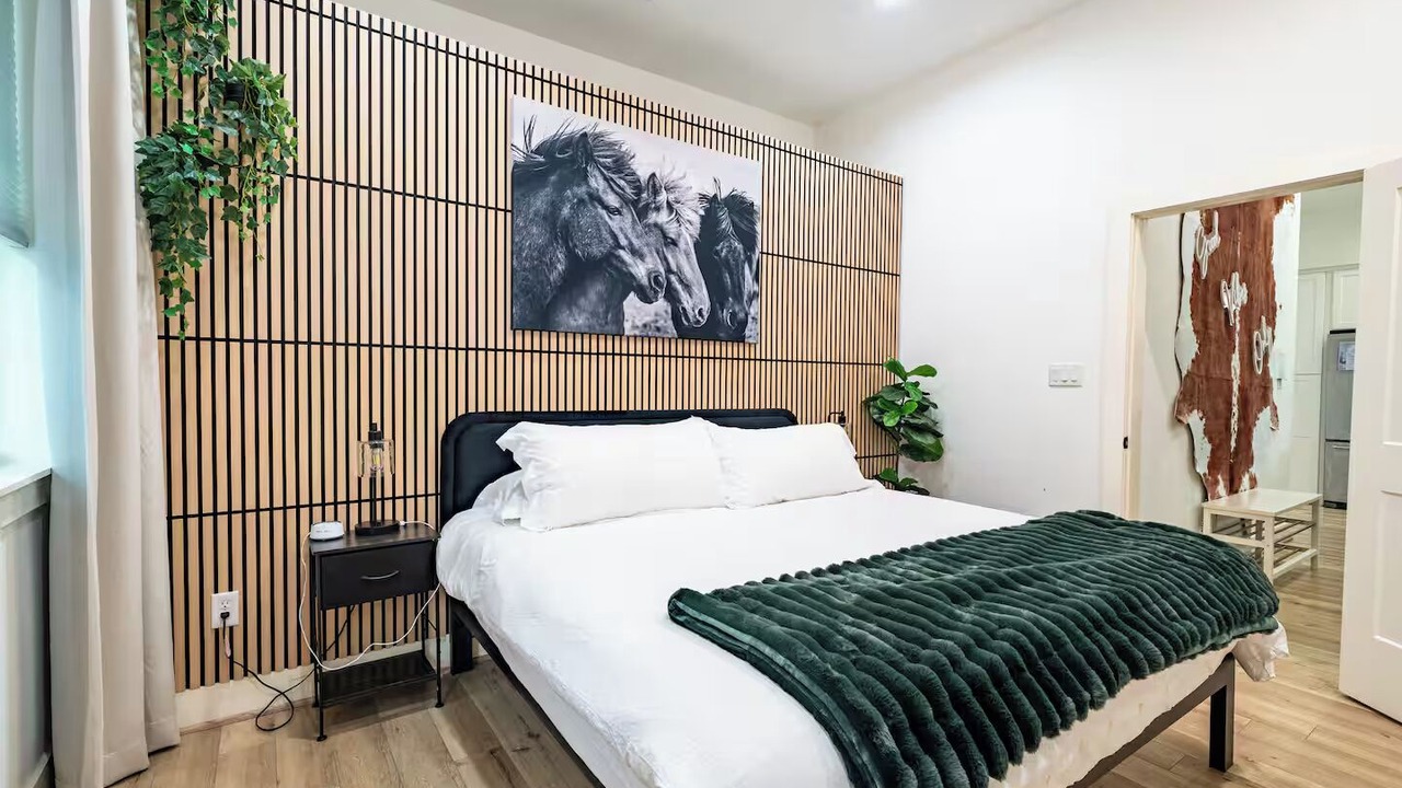 Photo of Bedroom in South Central Houston