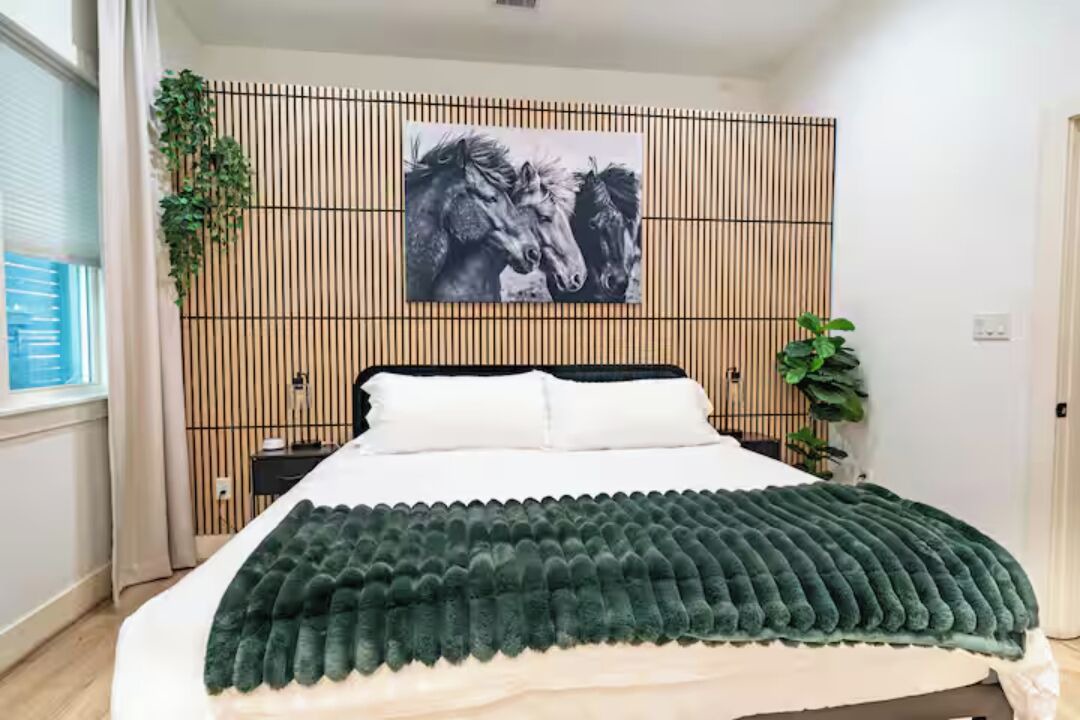 Photo of Bedroom in South Central Houston