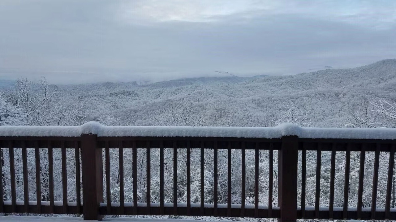 Photo of Outdoor in Pisgah Forest