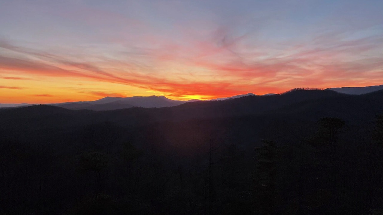 Photo of Others in Pisgah Forest