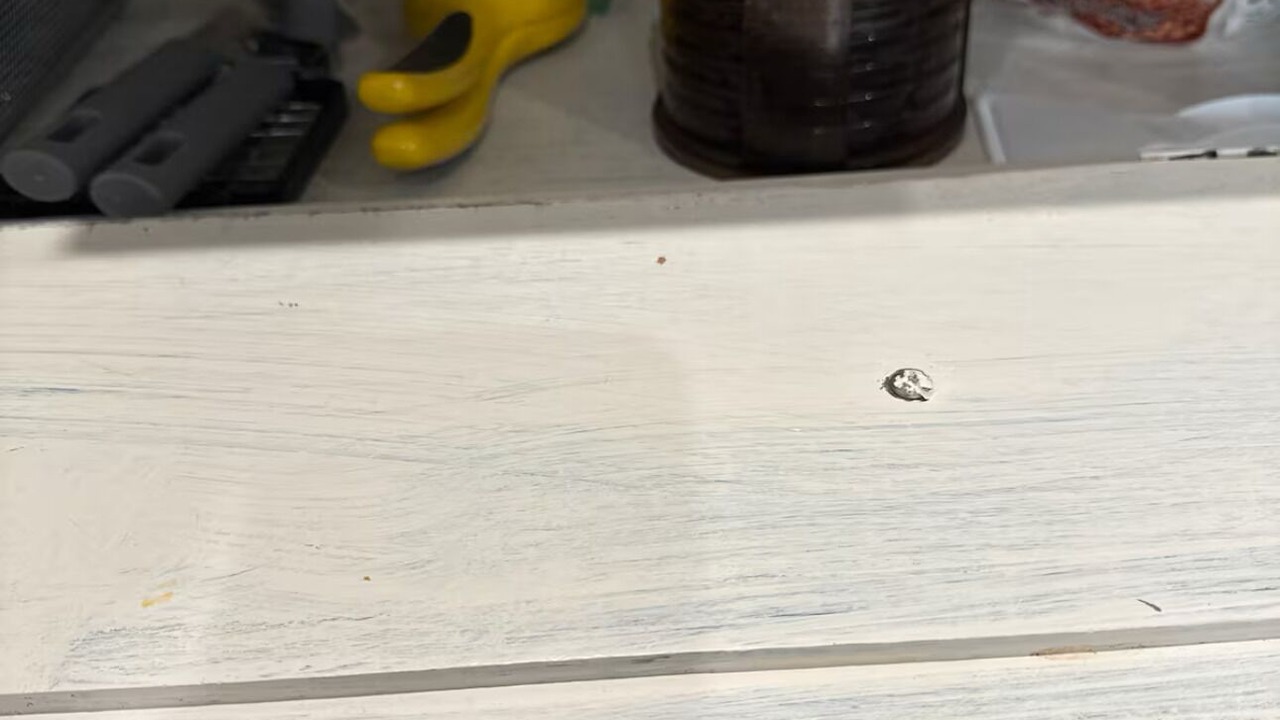 Photo of Others in Palisades Park