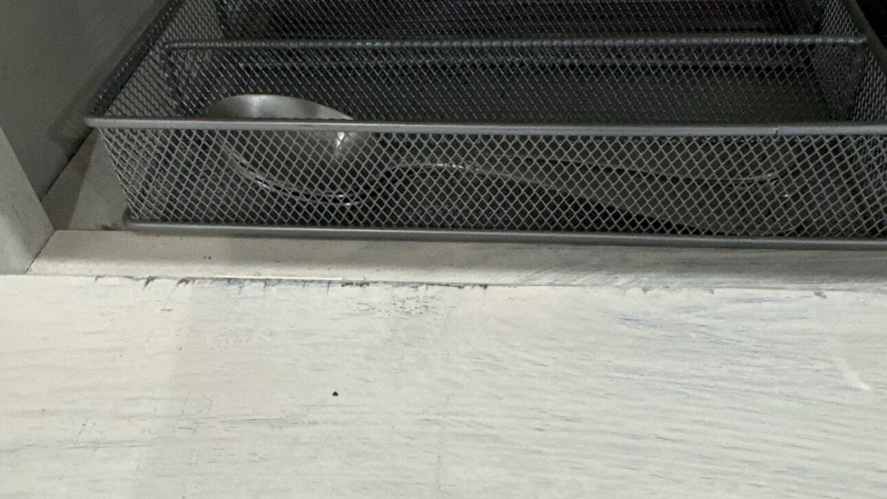 Photo of Others in Palisades Park