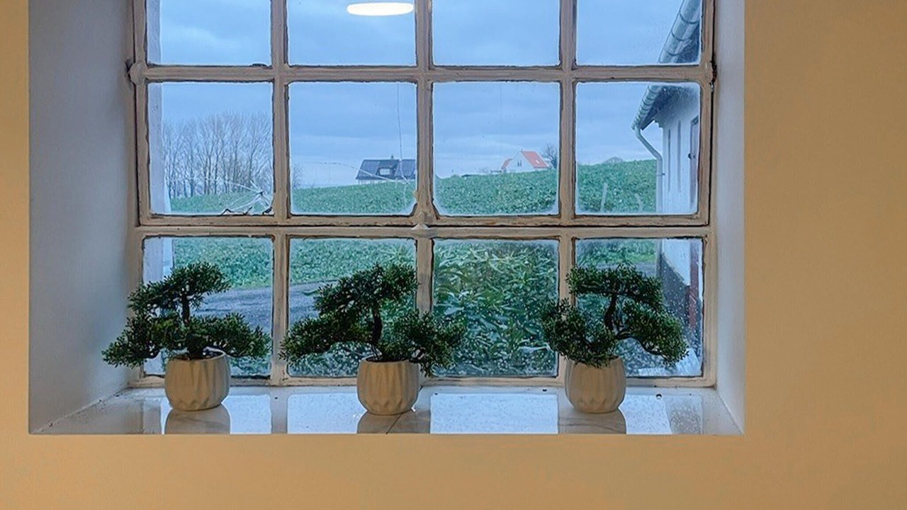 Photo of Others in Helligpeder