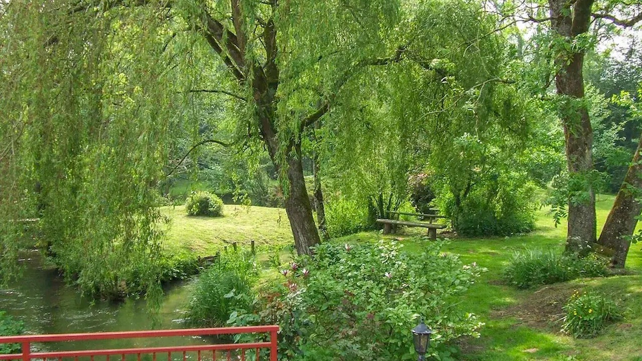 Photo of Others in Renty