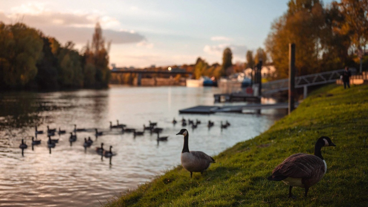 Photo of Others in Neuilly-sur-Marne