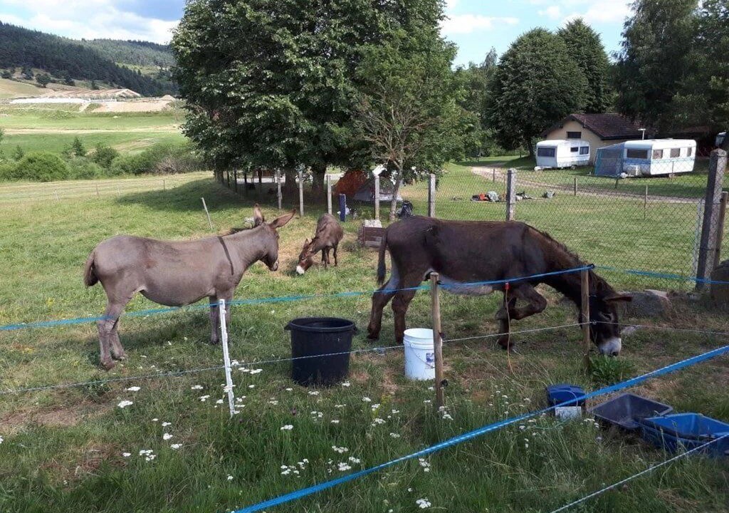 Photo of Others in Langogne