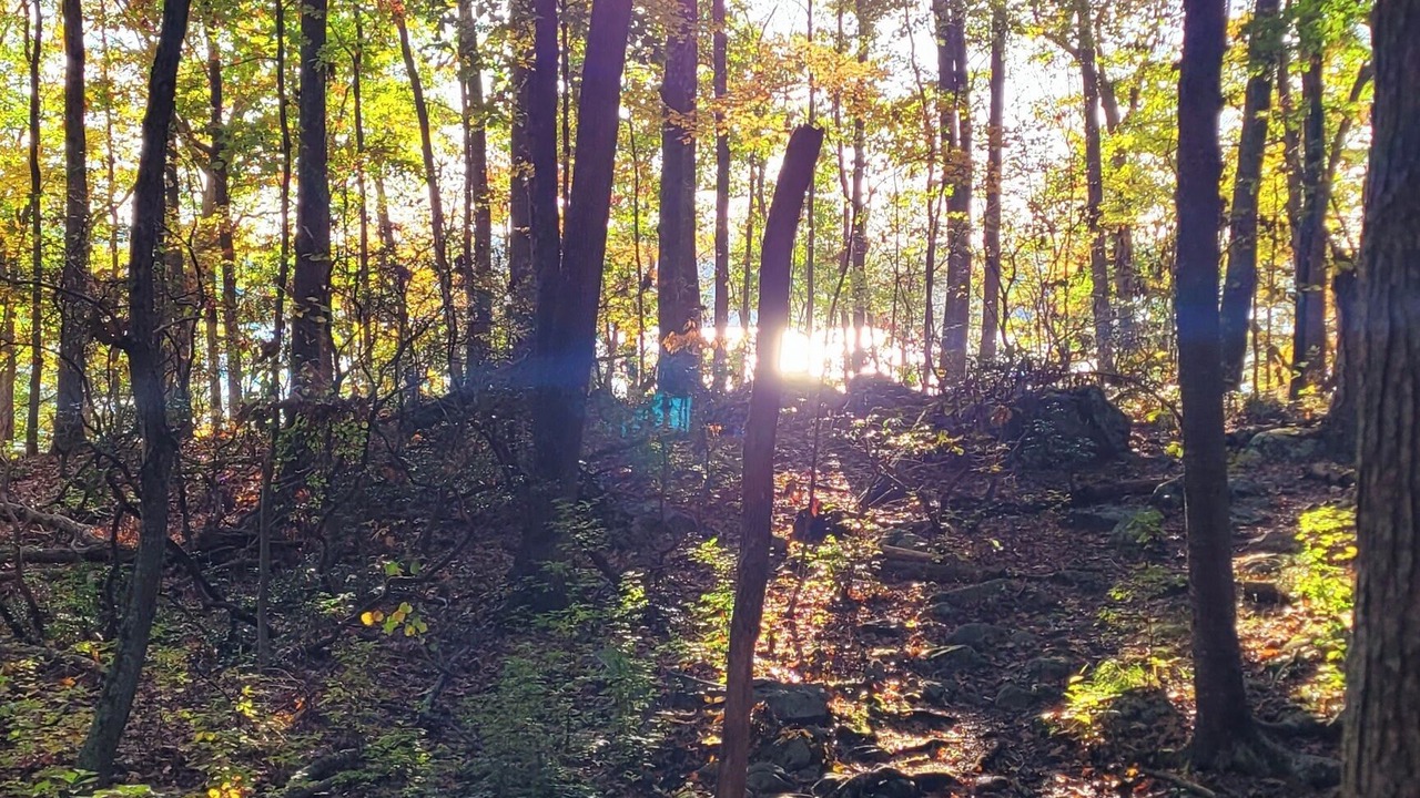 Photo of Others in Weston