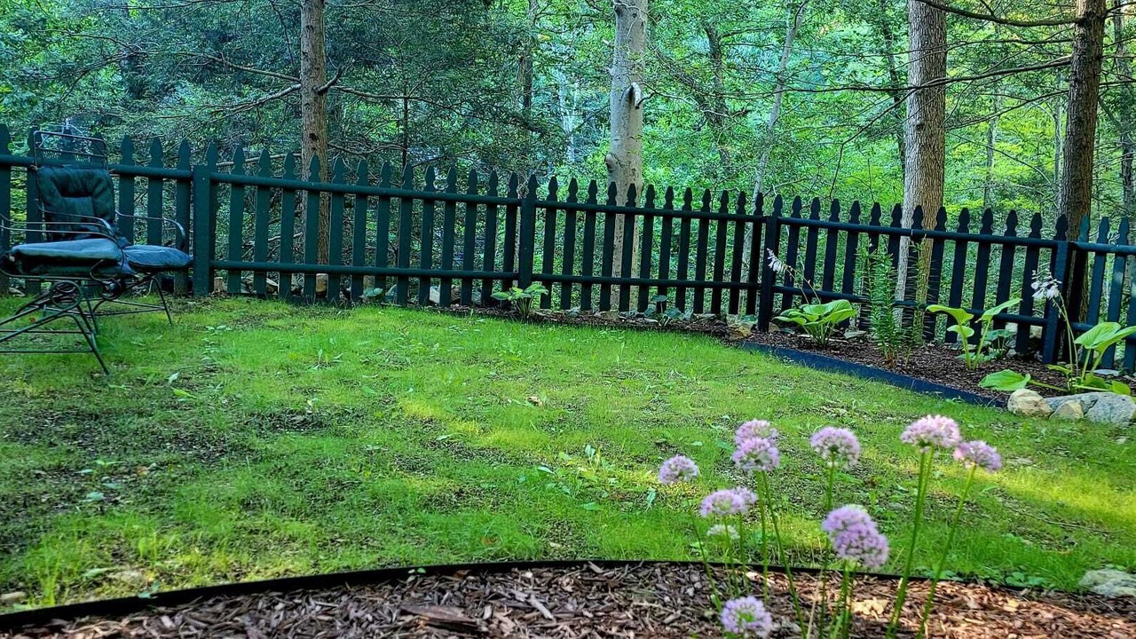 Photo of Outdoor in Weston